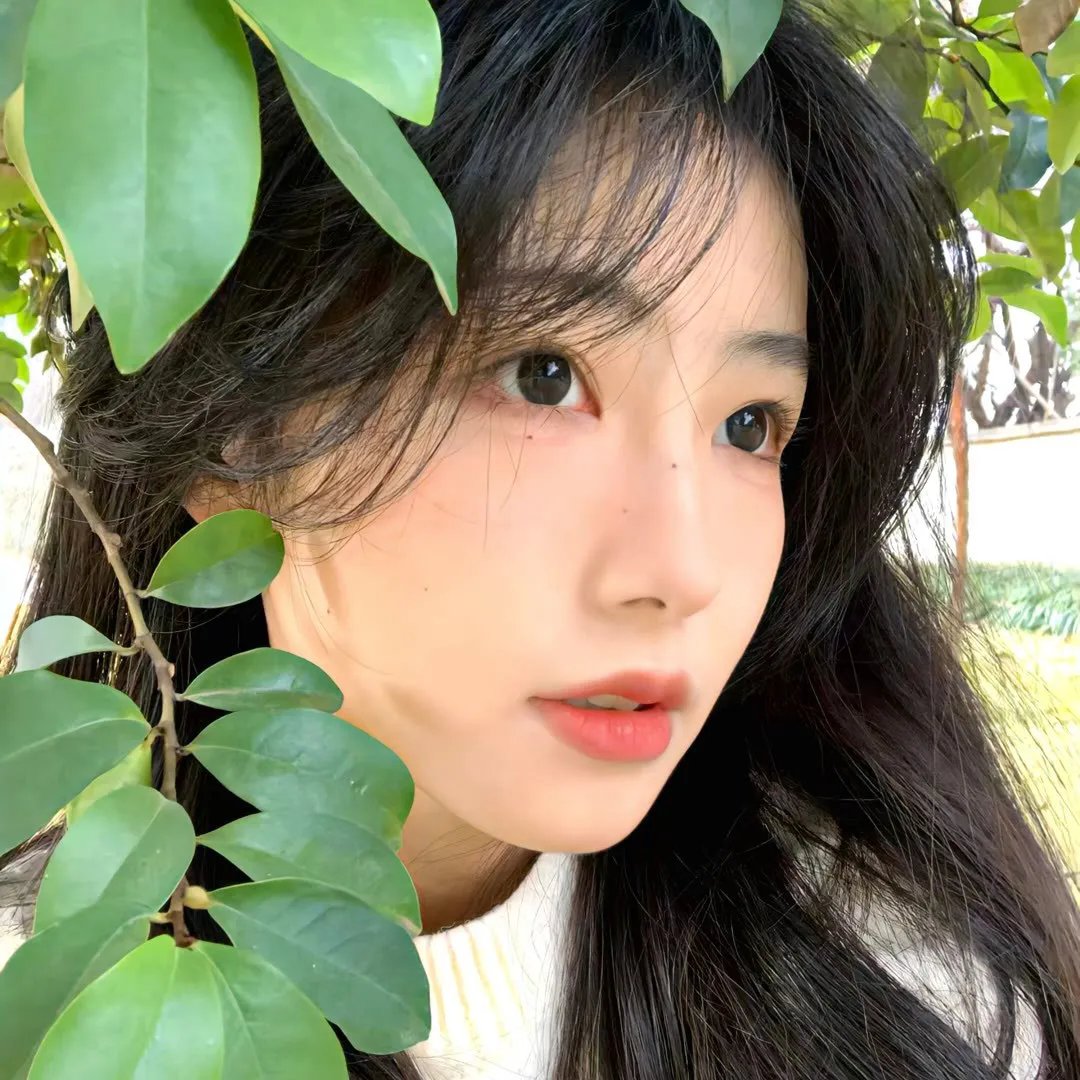 广府太极传奇